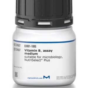 B12 Assay Medium