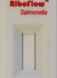 Salmonella Rapid Enrichment Broth (SREB)